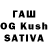 Галлюциногенные грибы Psilocybine cubensis Undenied
