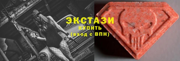 СК Снежногорск
