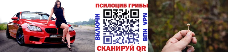 Купить закладки  Завитинск  Галлюциногенные грибы мухоморы 